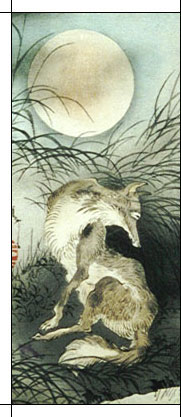 A fox admires her reflection on a moonlit night. Yoshitoshi Tsukioka, "One Hundred Aspects of the Moon: Musashi Plain Moon"
